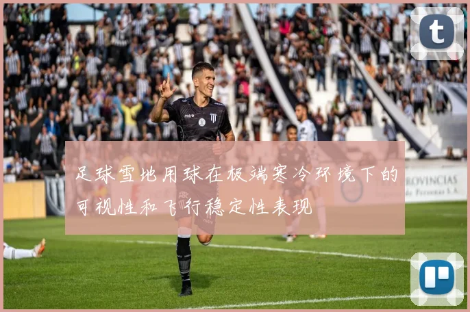 足球雪地用球在极端寒冷环境下的可视性和飞行稳定性表现