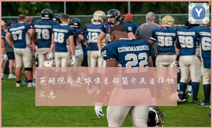 英超现有足球俱乐部简介及吉祥物汇总