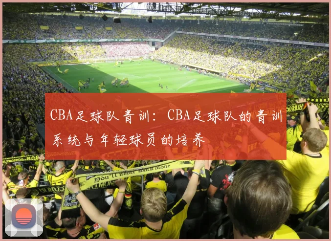 CBA足球队青训：CBA足球队的青训系统与年轻球员的培养